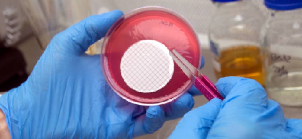 Laboratorio de Microbiología